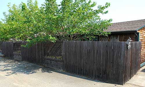 07-alley-fencing-and-trees