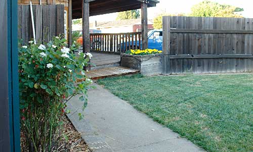 02-side-lawn-to-f-porch